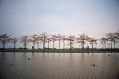 《暗黑3》新PTR于11月4日开启 25赛季主题灵魂碎片